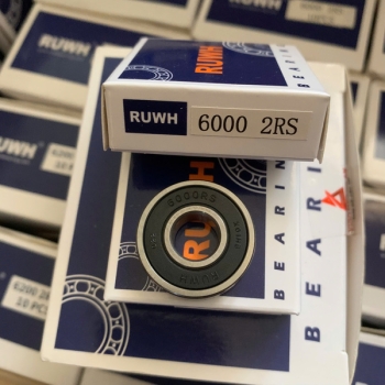 Bạc đạn 6000 RUWH 2RS